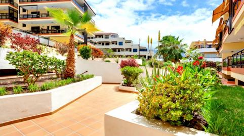 Foto 4 de Pis de lloguer a Carretera Botánico, 22, San Antonio - Las Arenas, Santa Cruz de Tenerife