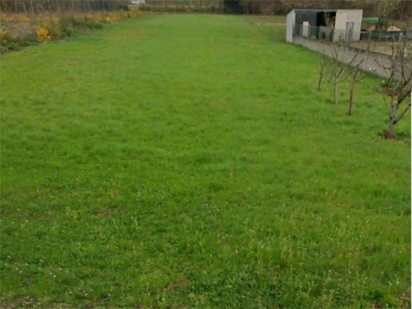 Non-constructible Land for sale in O Corgo  