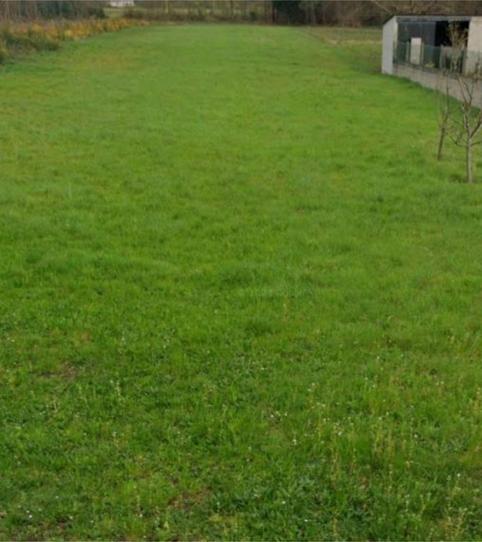 Photo 2 of Non-constructible Land for sale in Lu-p-1608, 39, O Corgo  , Lugo