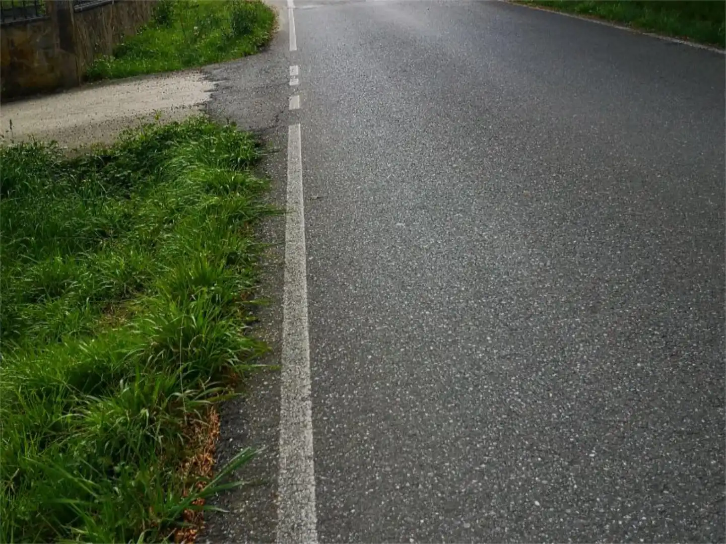 Exterior view of Non-constructible Land for sale in O Corgo  