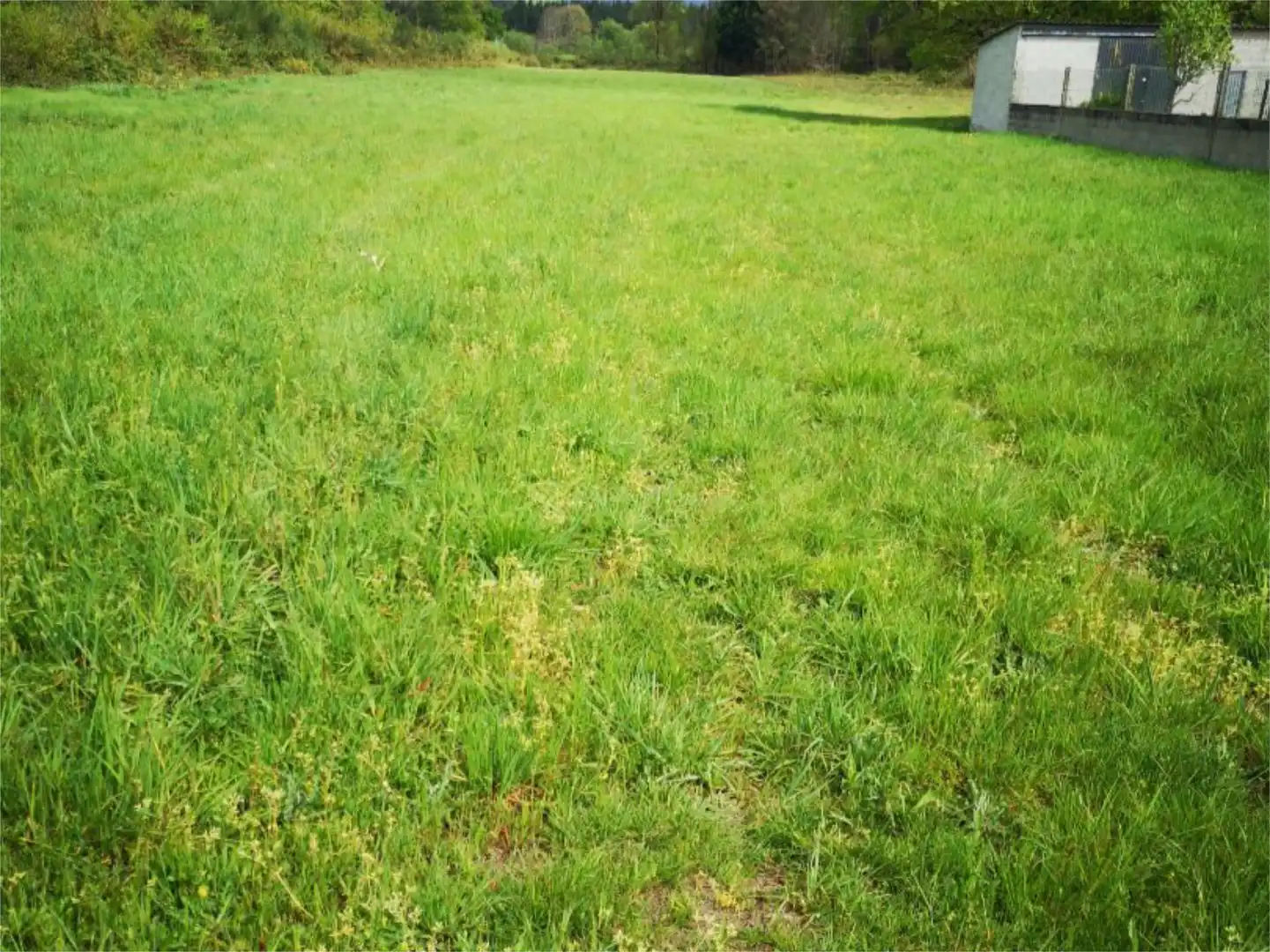 Non-constructible Land for sale in O Corgo  