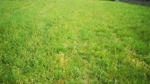 Photo 5 of Non-constructible Land for sale in Lu-p-1608, 39, O Corgo , Lugo