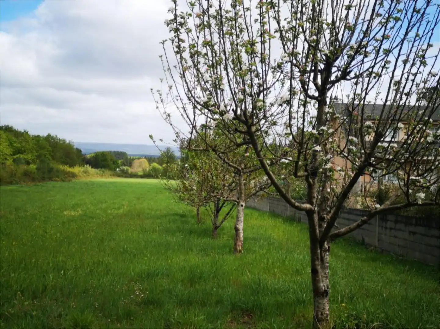 Non-constructible Land for sale in O Corgo  