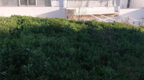 Urbanizable en venta en Travesía Remedios, 41, Segura de León, Badajoz - imagen 3 Foto 3 de Urbanizable en venta en Travesía Remedios, 41, Segura de León, Badajoz