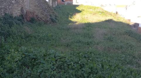 Urbanizable en venta en Travesía Remedios, 41, Segura de León, Badajoz - imagen 5 Foto 5 de Urbanizable en venta en Travesía Remedios, 41, Segura de León, Badajoz