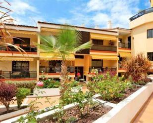 Exterior view of Apartment to rent in Puerto de la Cruz  with Private garden, Terrace and Swimming Pool