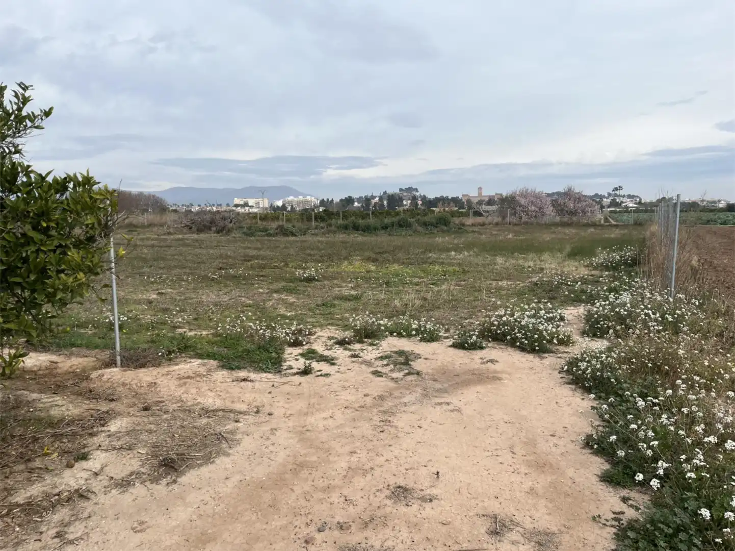 Non-constructible Land for sale in Carrer Pintor Peiró, 16, El Puig Non-constructible Land for sale in El Puig de Santa Maria
