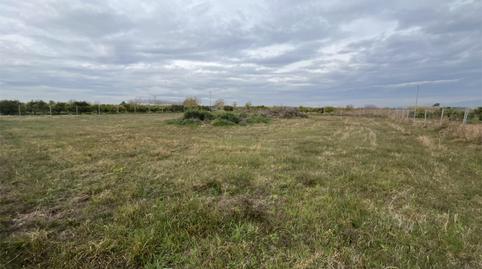 No Urbanizable en venta en Carrer Pintor Peiró, 16, El Puig, Valencia - imagen 5 Foto 5 de No Urbanizable en venta en Carrer Pintor Peiró, 16, El Puig, Valencia