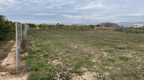 No Urbanizable en venta en Carrer Pintor Peiró, 16, El Puig, Valencia - imagen 3 Foto 3 de No Urbanizable en venta en Carrer Pintor Peiró, 16, El Puig, Valencia