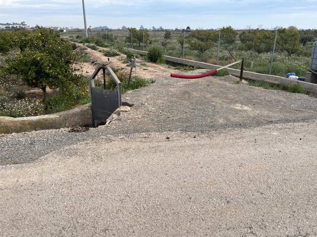 Terreno no urbanizable en Venta en Carrer Pintor Peiró, 16 en El Puig