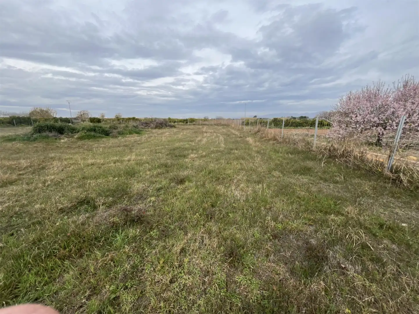 Non-constructible Land for sale in Carrer Pintor Peiró, 16, El Puig Non-constructible Land for sale in El Puig de Santa Maria