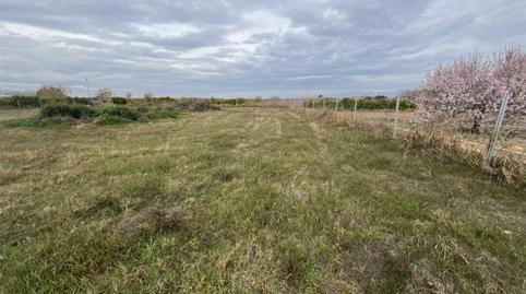 No Urbanizable en venta en Carrer Pintor Peiró, 16, El Puig, Valencia - imagen 4 Foto 4 de No Urbanizable en venta en Carrer Pintor Peiró, 16, El Puig, Valencia