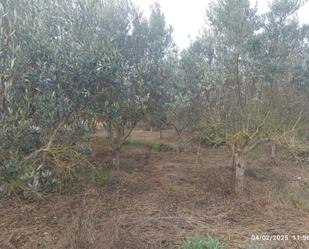 Casa o xalet en venda en Grañén amb Calefacció, Jardí privat i Terrassa