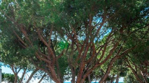 House or chalet for sale in Urbanización Marbesa, 162, Marbesa, Marbella - image 2 Photo 2 of House or chalet for sale in Urbanización Marbesa, 162, Marbesa, Marbella