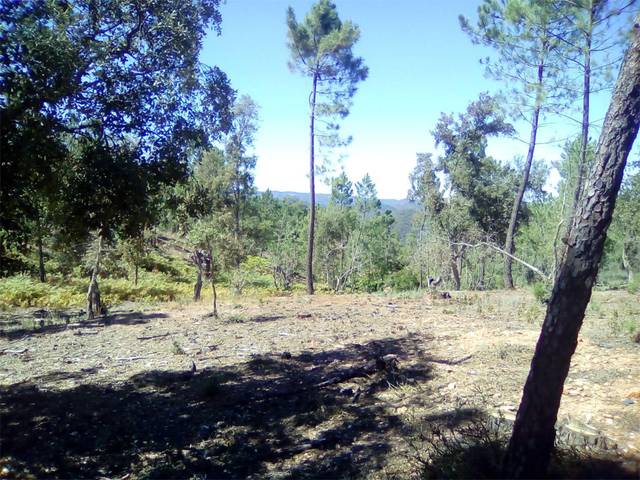 Terreno en Venta en Finca el Pozuelo, 1 en Valdelarco
