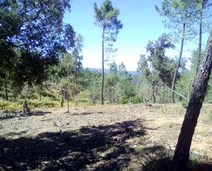 Land for sale in Valdelarco