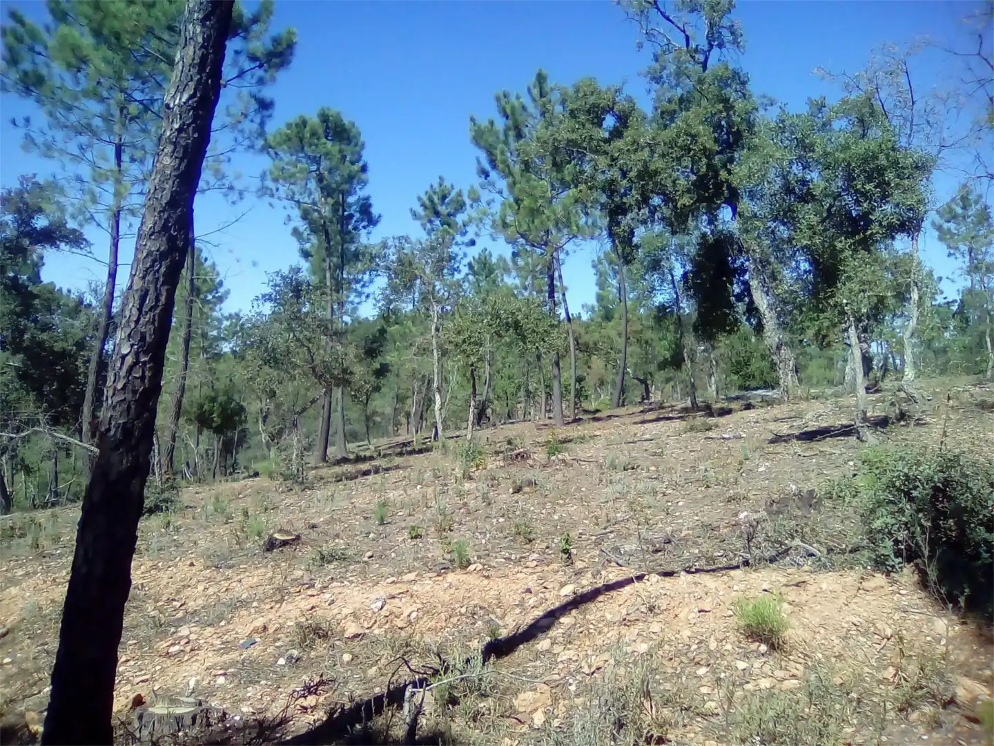 Terreno en venta en Finca el Pozuelo, 1, Valdelarco Terreno en venta en Valdelarco