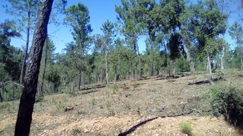 Foto 2 von Grundstücke zum Verkauf in Finca el Pozuelo, 1, Valdelarco, Huelva