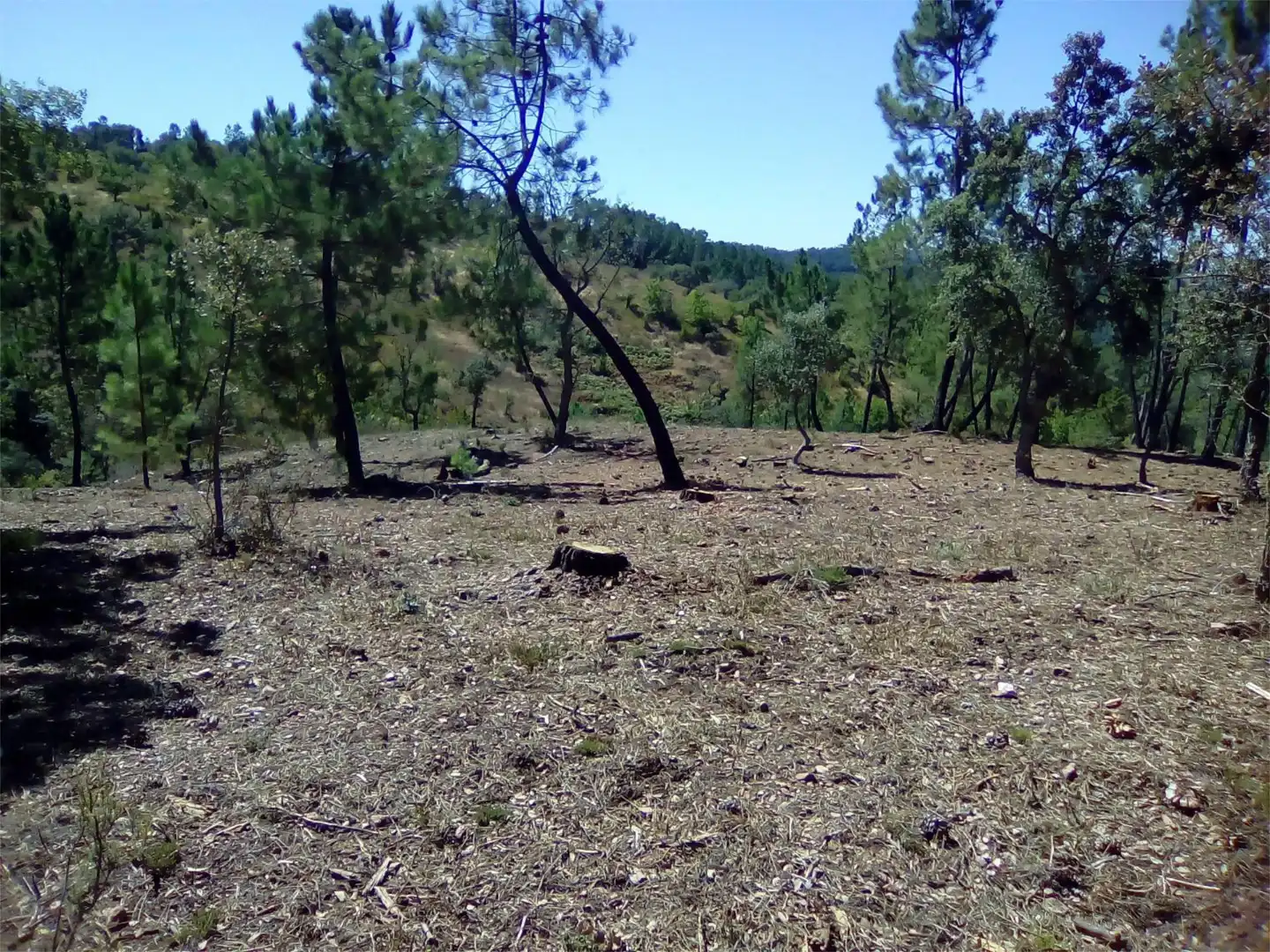Terreno en venta en Finca el Pozuelo, 1, Valdelarco Terreno en venta en Valdelarco