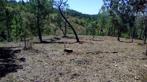 Foto 4 von Grundstücke zum Verkauf in Finca el Pozuelo, 1, Valdelarco, Huelva