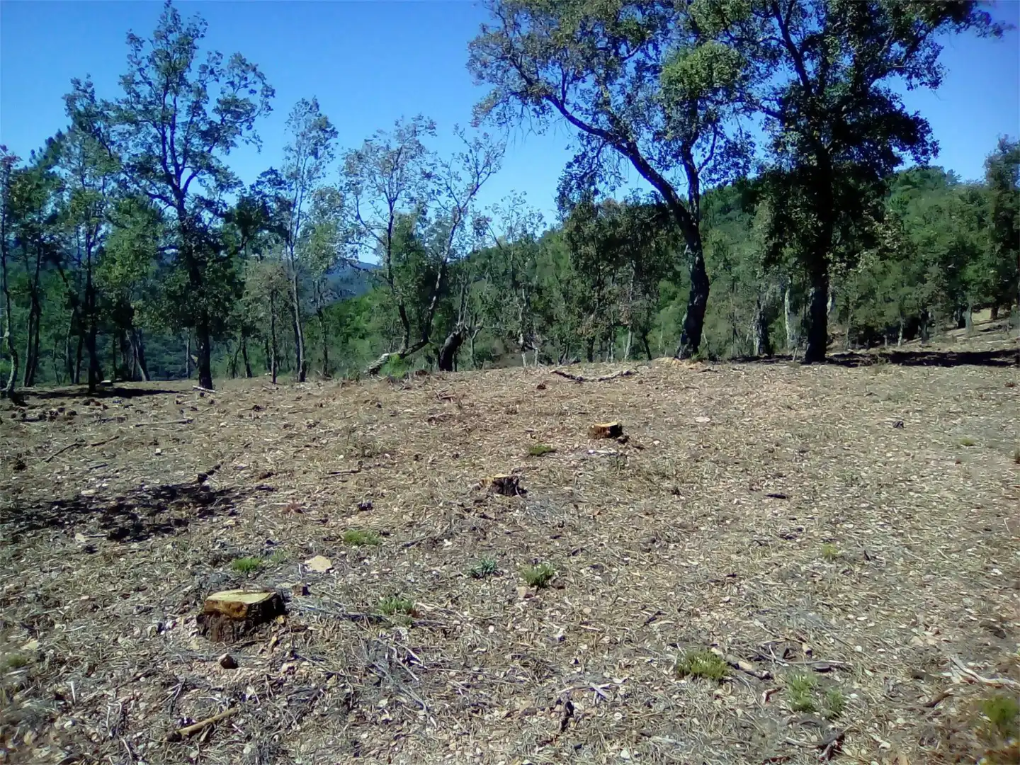 Terreno en venta en Finca el Pozuelo, 1, Valdelarco Terreno en venta en Valdelarco
