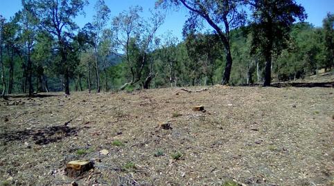 Foto 5 von Grundstücke zum Verkauf in Finca el Pozuelo, 1, Valdelarco, Huelva