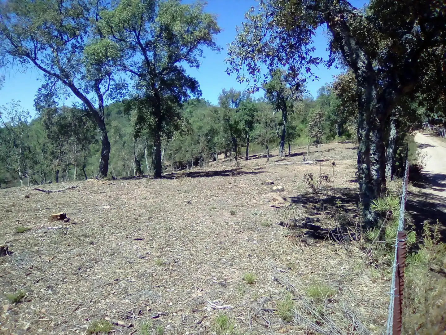 Terreno en venta en Finca el Pozuelo, 1, Valdelarco Terreno en venta en Valdelarco