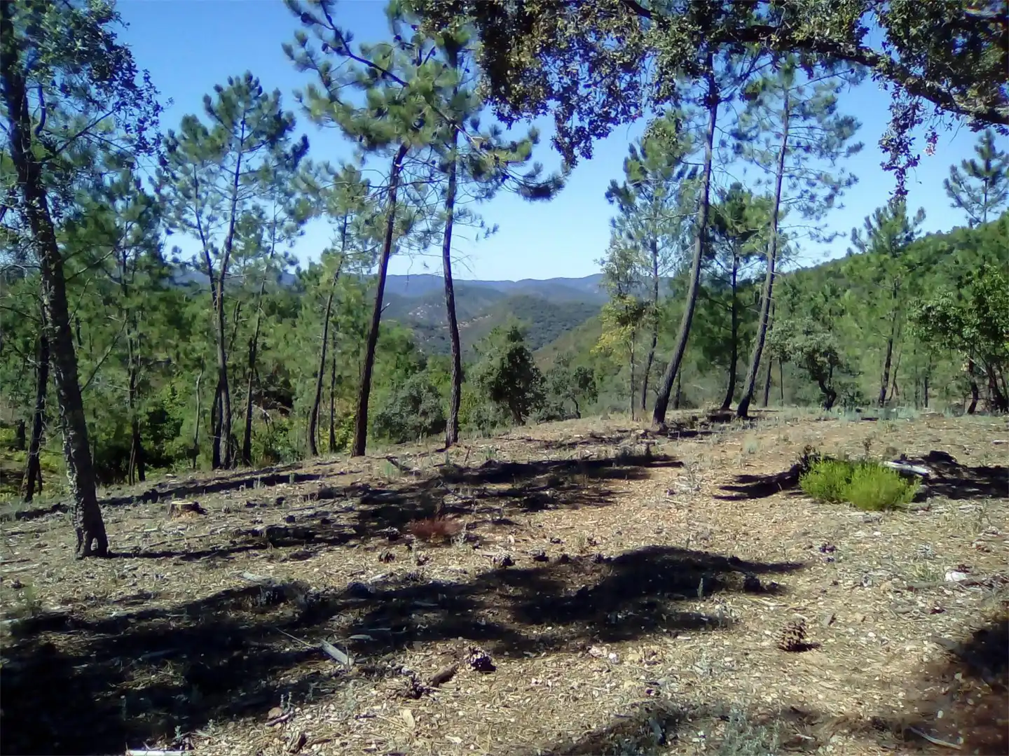 Terreno en venta en Finca el Pozuelo, 1, Valdelarco Terreno en venta en Valdelarco