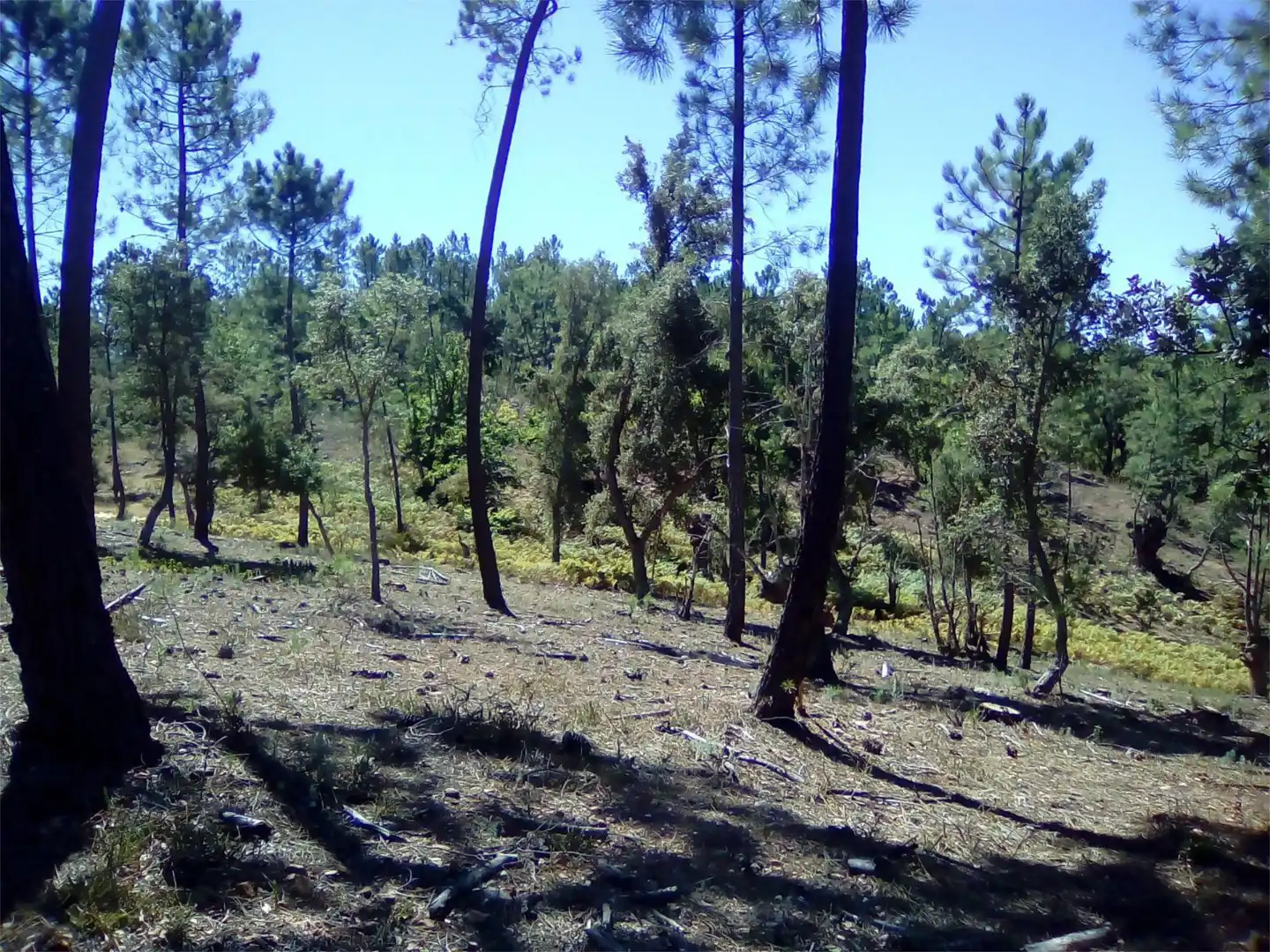 Terreno en venta en Finca el Pozuelo, 1, Valdelarco Terreno en venta en Valdelarco