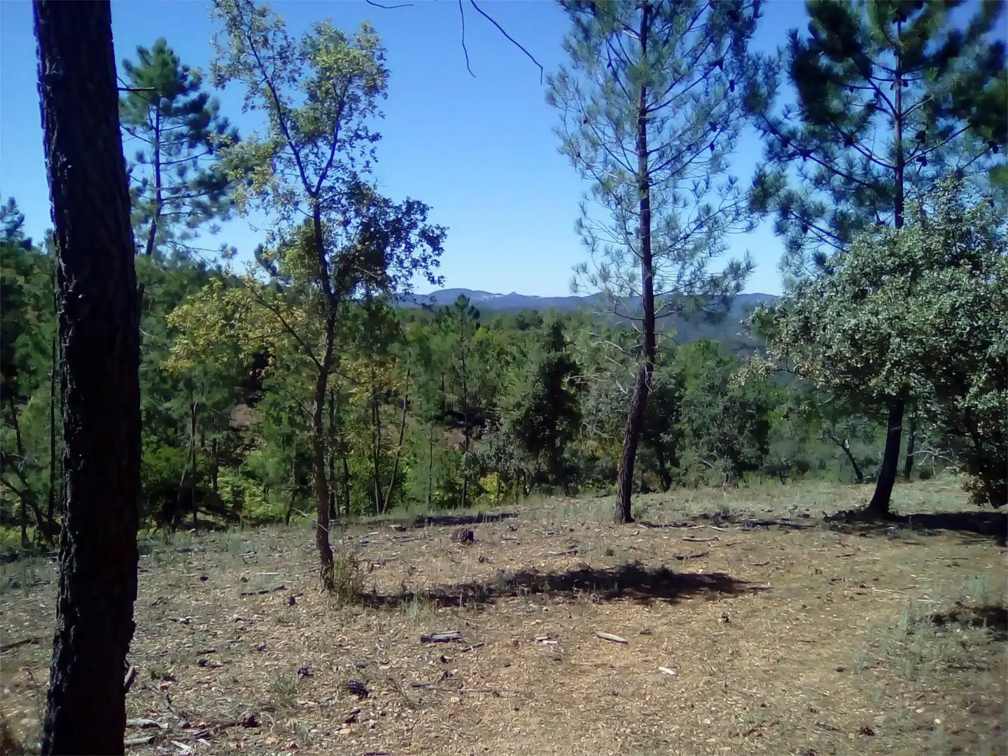 Terreno en venta en Finca el Pozuelo, 1, Valdelarco Terreno en venta en Valdelarco