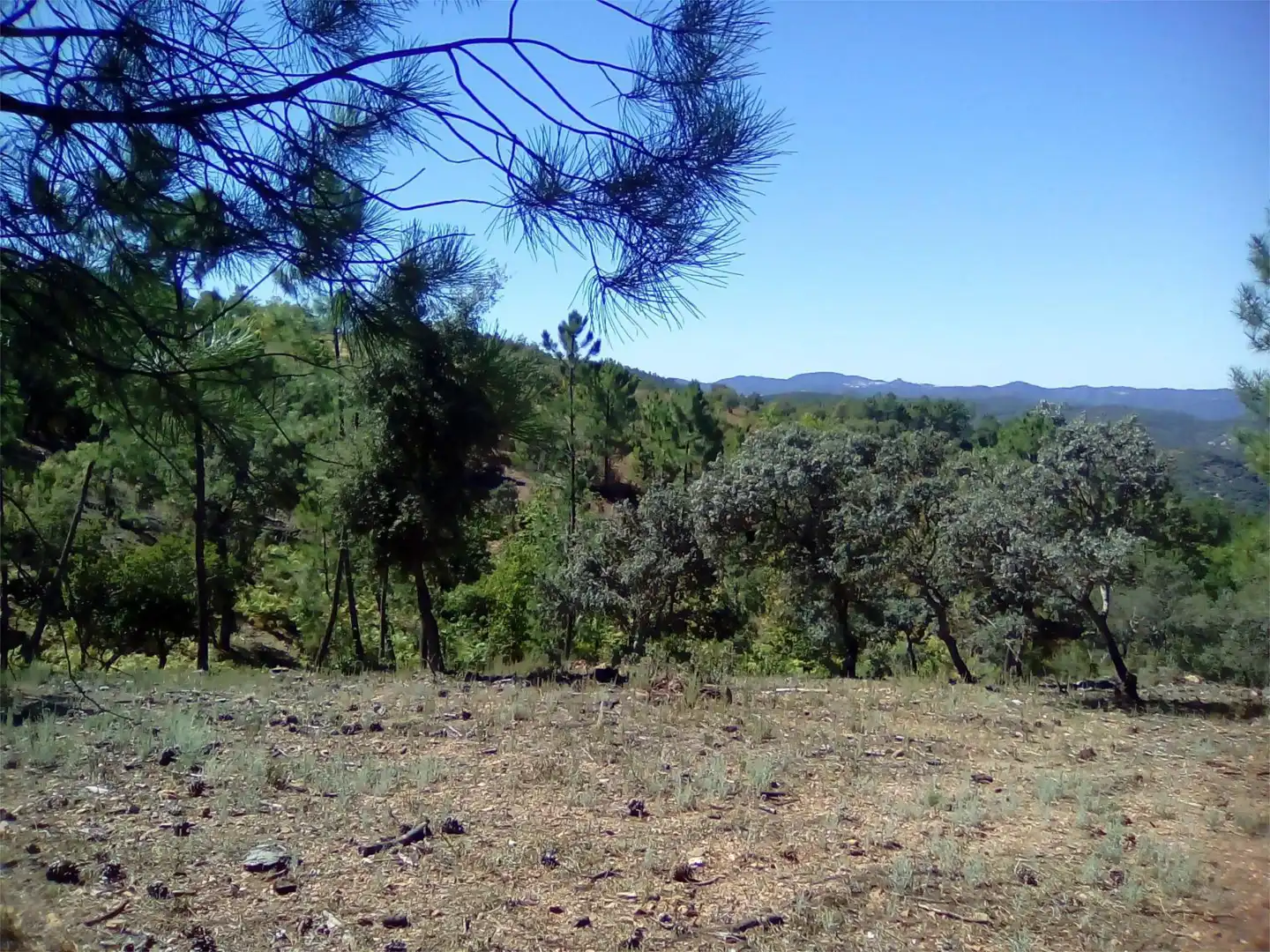 Terreno en venta en Finca el Pozuelo, 1, Valdelarco Terreno en venta en Valdelarco