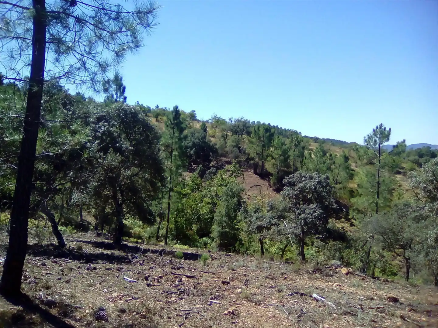 Terreno en venta en Finca el Pozuelo, 1, Valdelarco Terreno en venta en Valdelarco