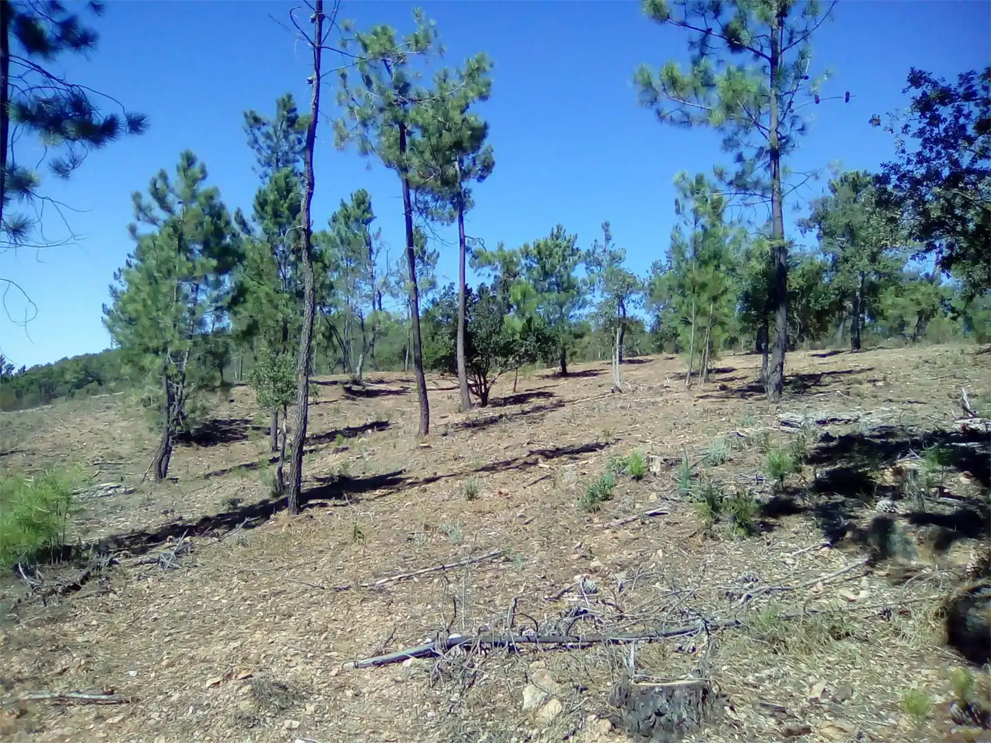 Terreno en venta en Finca el Pozuelo, 1, Valdelarco Terreno en venta en Valdelarco