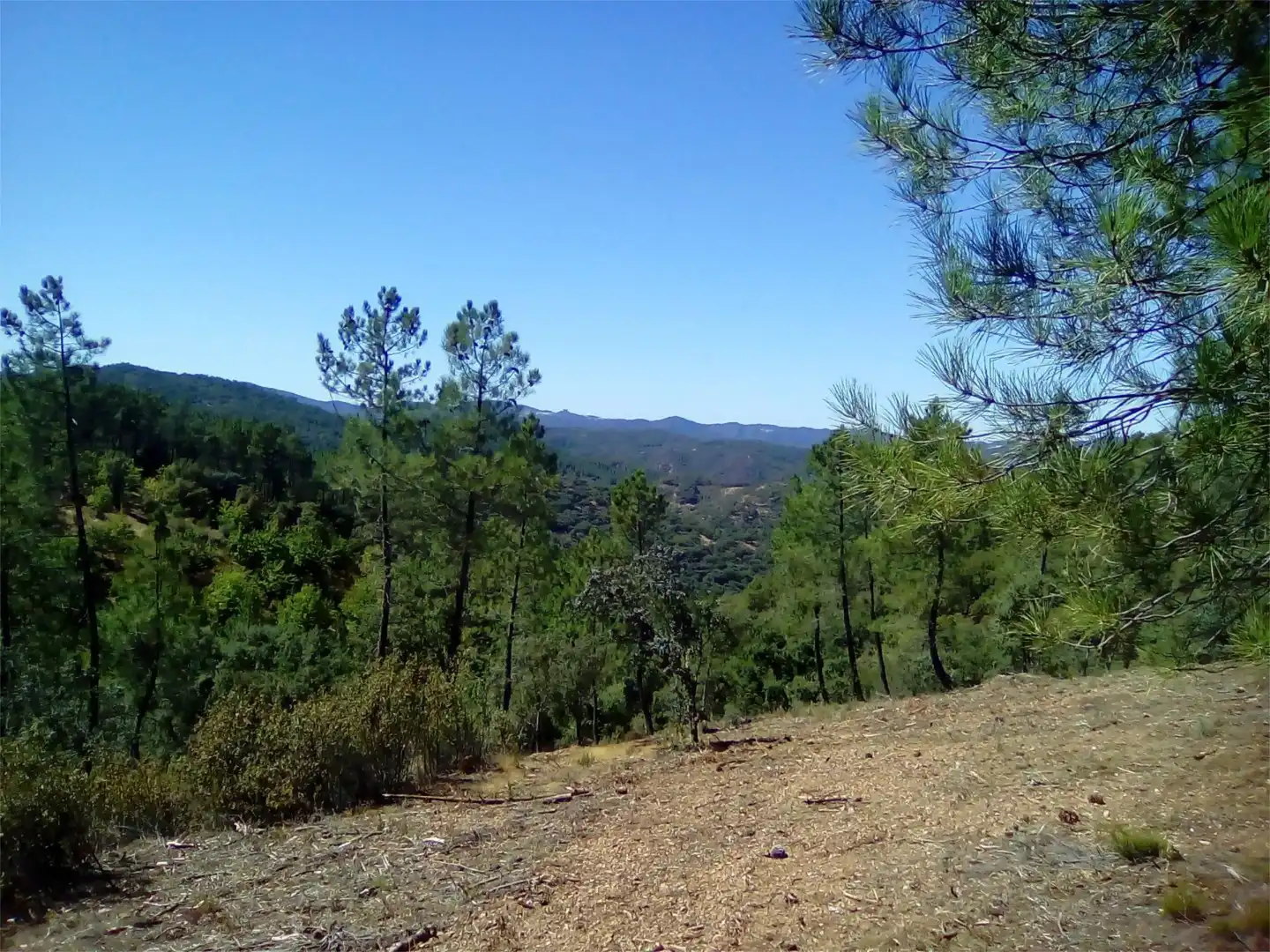 Terreno en venta en Finca el Pozuelo, 1, Valdelarco Terreno en venta en Valdelarco