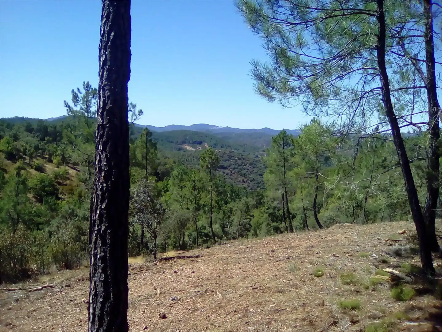 Terreno en venta en Finca el Pozuelo, 1, Valdelarco Terreno en venta en Valdelarco