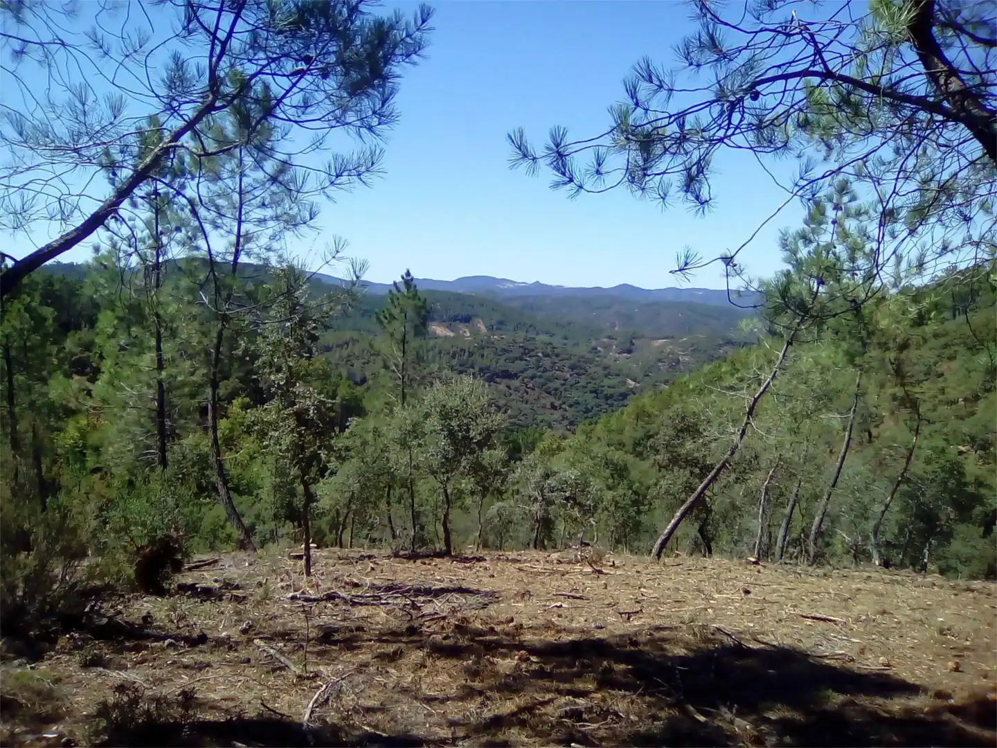 Terreno en venta en Finca el Pozuelo, 1, Valdelarco Terreno en venta en Valdelarco