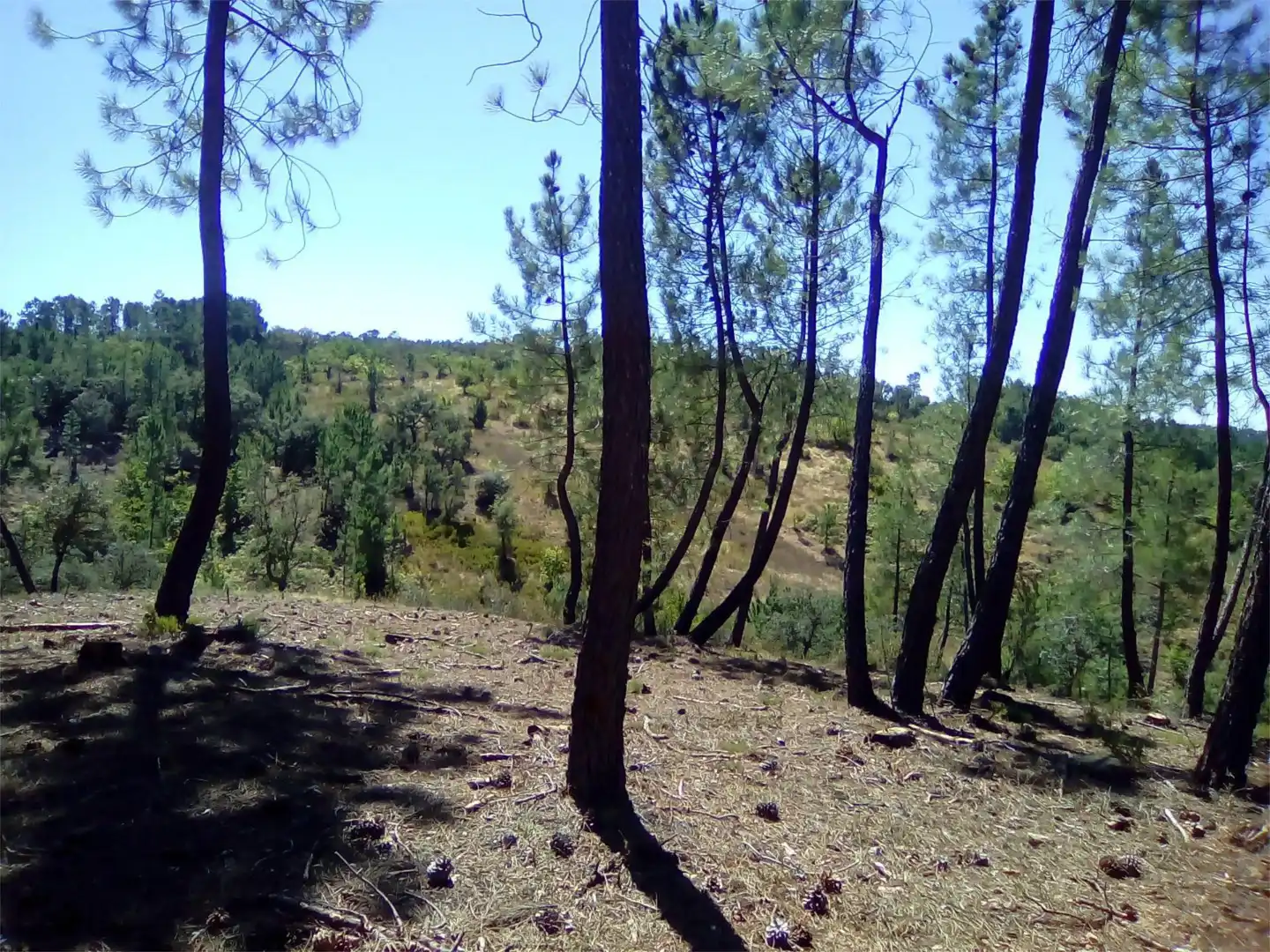 Terreno en venta en Finca el Pozuelo, 1, Valdelarco Terreno en venta en Valdelarco
