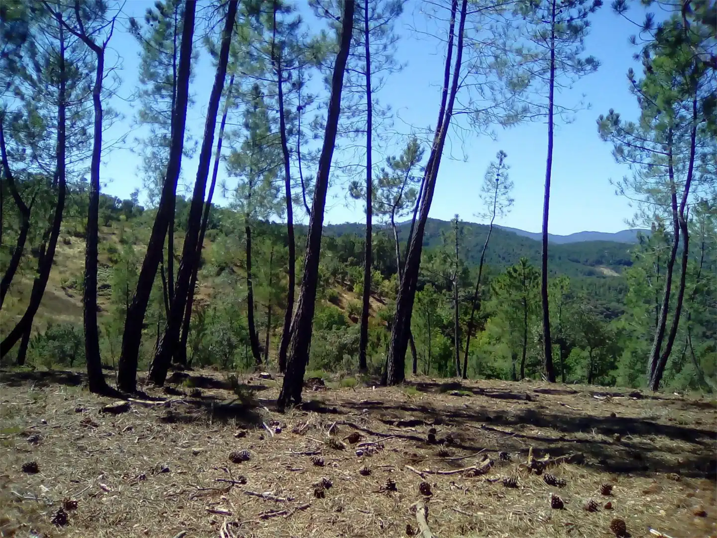 Terreno en venta en Finca el Pozuelo, 1, Valdelarco Terreno en venta en Valdelarco