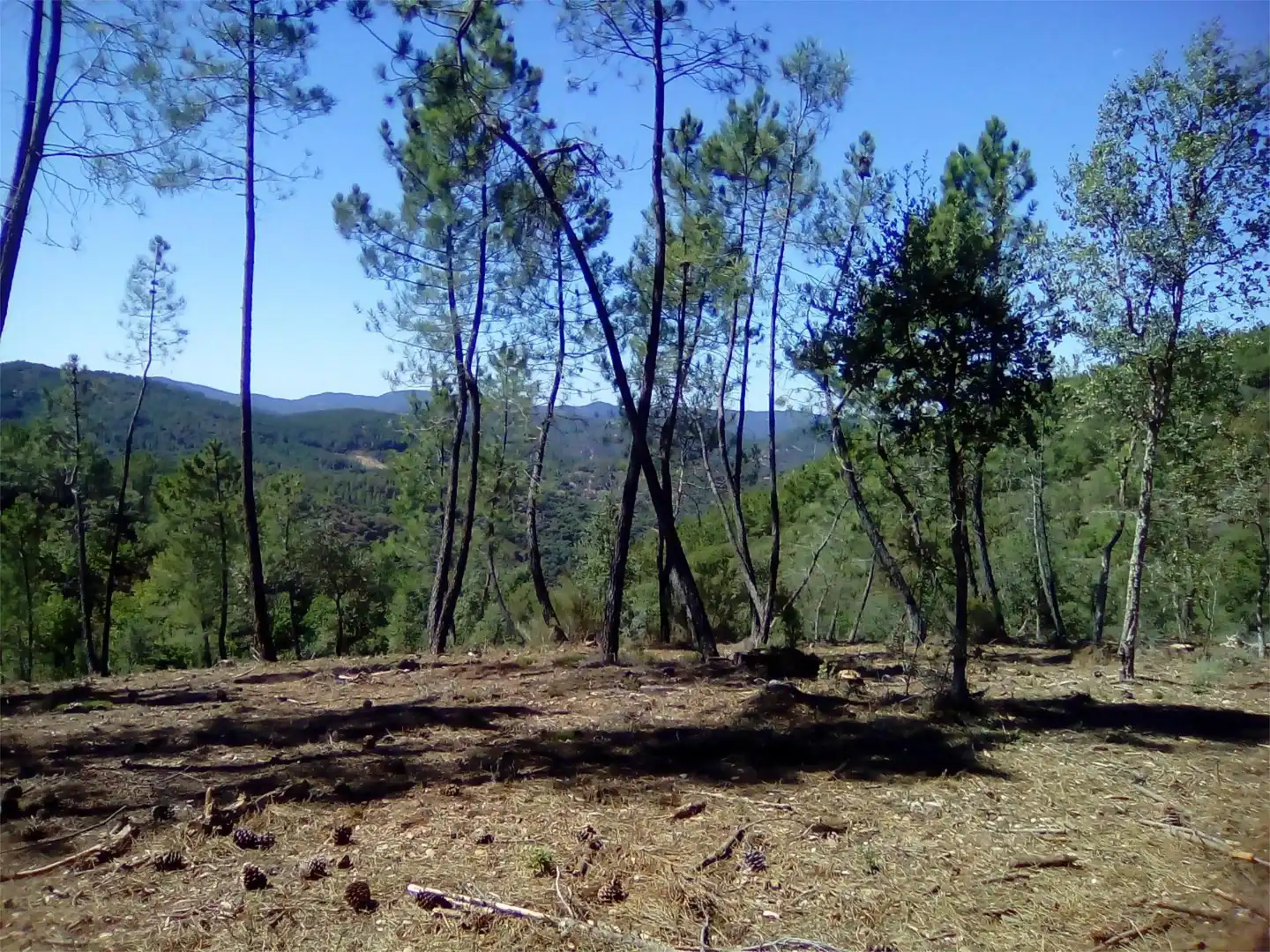 Terreno en venta en Finca el Pozuelo, 1, Valdelarco Terreno en venta en Valdelarco