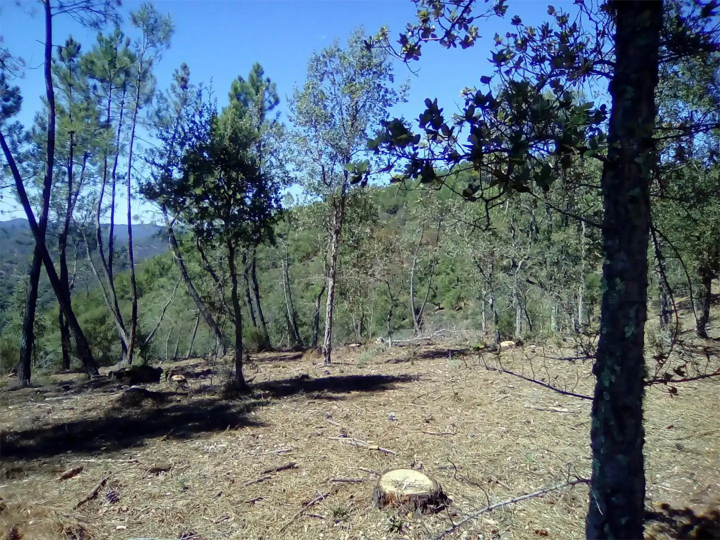 Terreno en venta en Finca el Pozuelo, 1, Valdelarco Terreno en venta en Valdelarco