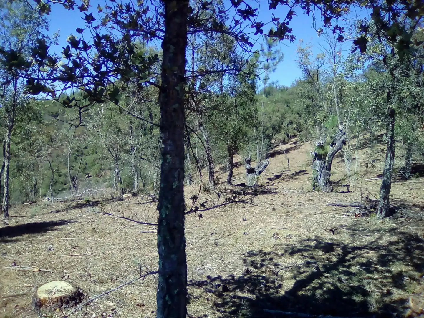 Terreno en venta en Finca el Pozuelo, 1, Valdelarco Terreno en venta en Valdelarco