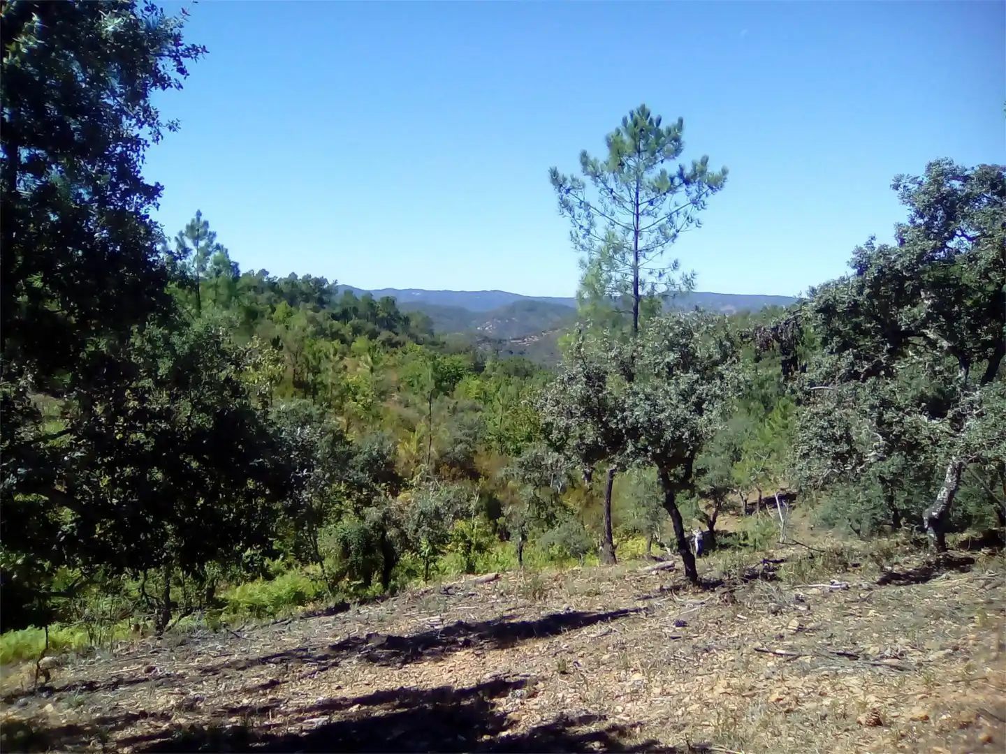 Terreno en venta en Finca el Pozuelo, 1, Valdelarco Terreno en venta en Valdelarco