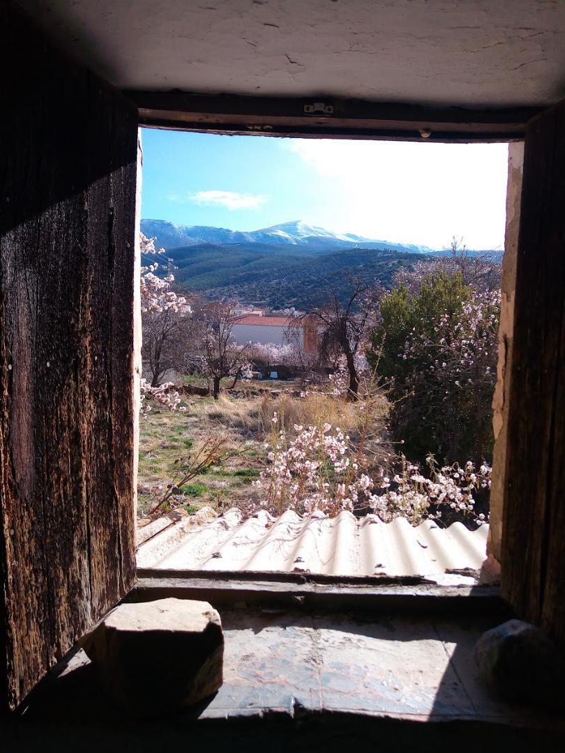 Garden of Single-family semi-detached for sale in Aldeire