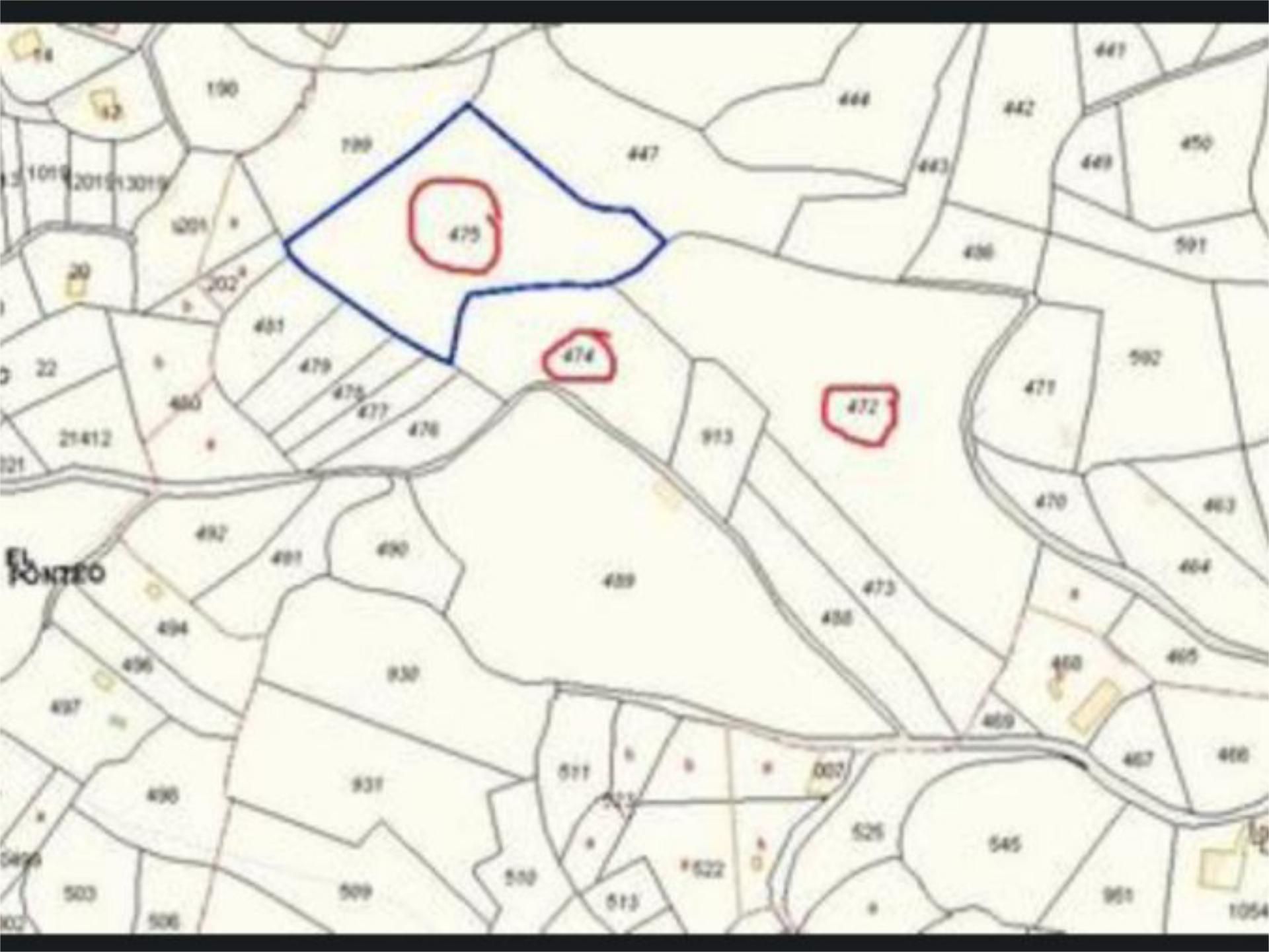 Non-constructible Land for sale in Oviedo 