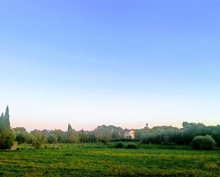 Vista exterior de No Urbanitzable en venda en Sencelles