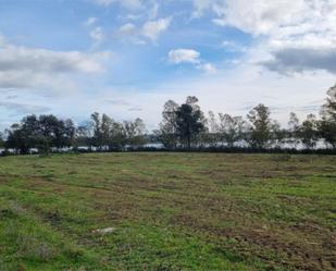 No Urbanitzable en venda en Santibáñez el Alto