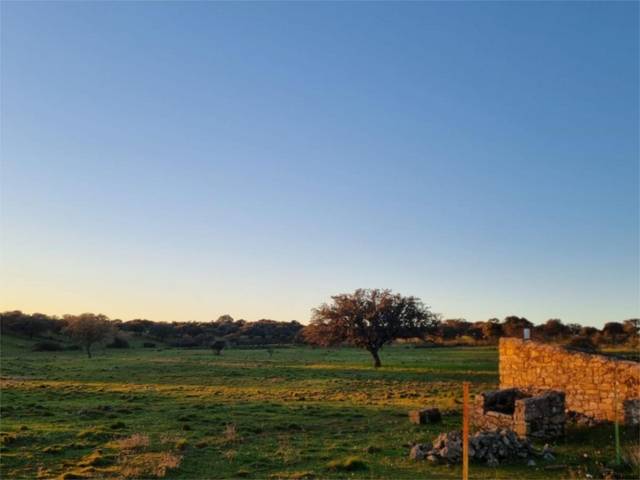 Terreno no urbanizable en Venta en Calle Berrocal, 8 en Santibáñez el Alto