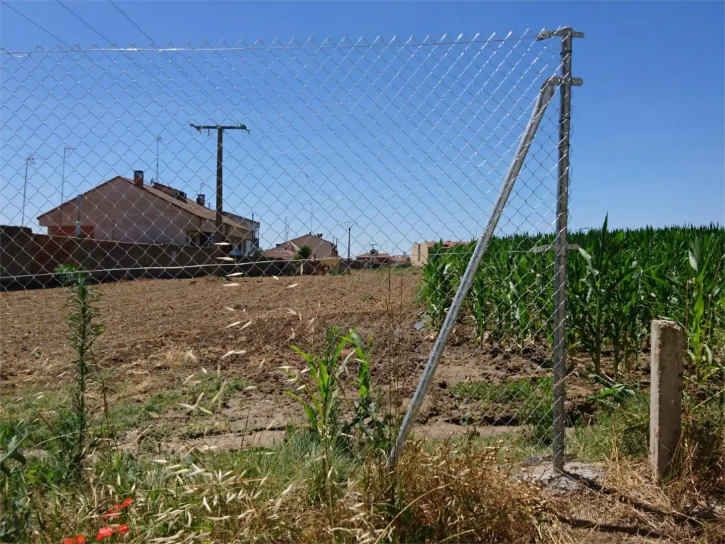 Land for sale in Aldealengua