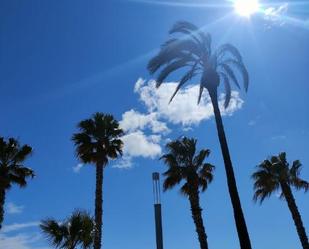 Pis per a compartir a Carrer de Barcelona, Platja de Llevant