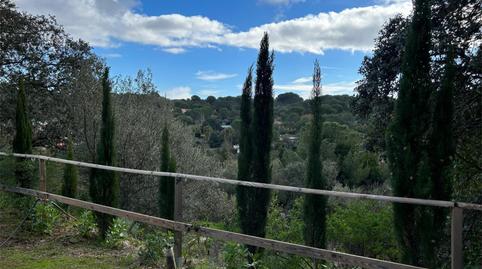 Finca rústica de lloguer a Camino Carrascoso Siete Fincas, 180d, Las Jaras, Córdoba - imatge 5 Foto 5 de Finca rústica de lloguer a Camino Carrascoso Siete Fincas, 180d, Las Jaras, Córdoba